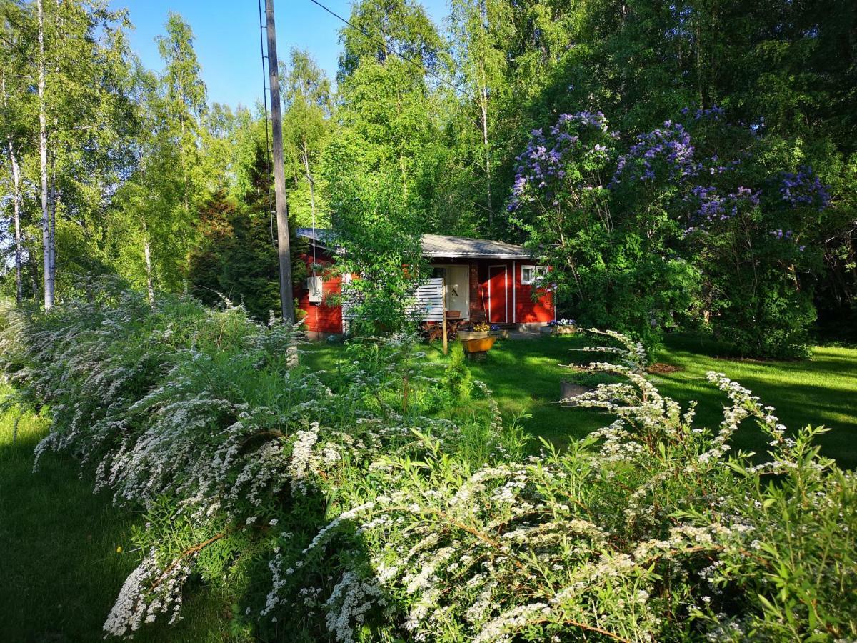 Koivuniemi Cottage Sakyla Екстер'єр фото